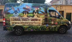 Autó matrica, autódekoráció, autó matricák