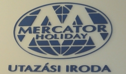 3D logo